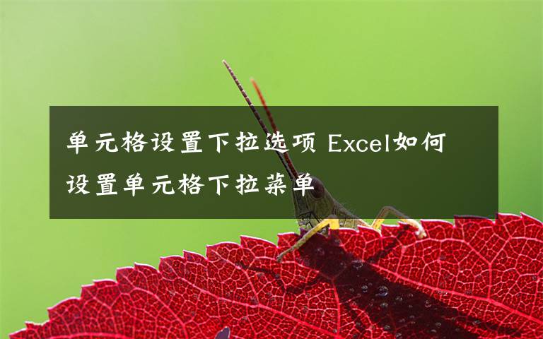 单元格设置下拉选项 Excel如何设置单元格下拉菜单