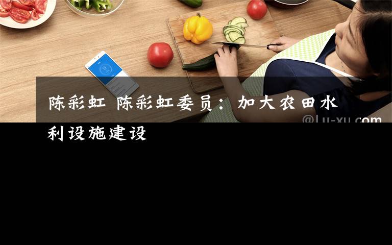 陈彩虹 陈彩虹委员:加大农田水利设施建设