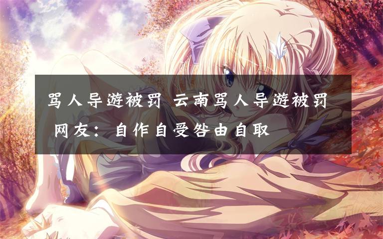 骂人导游被罚 云南骂人导游被罚 网友：自作自受咎由自取