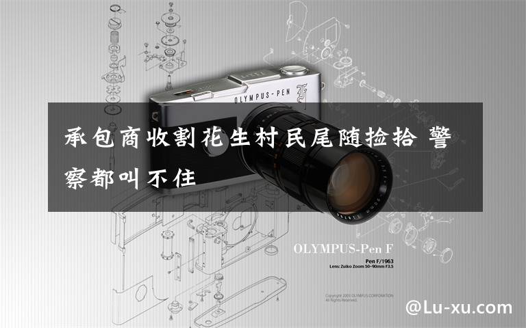 承包商收割花生村民尾随捡拾 警察都叫不住