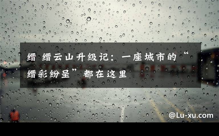 缙 缙云山升级记：一座城市的“缙彩纷呈”都在这里