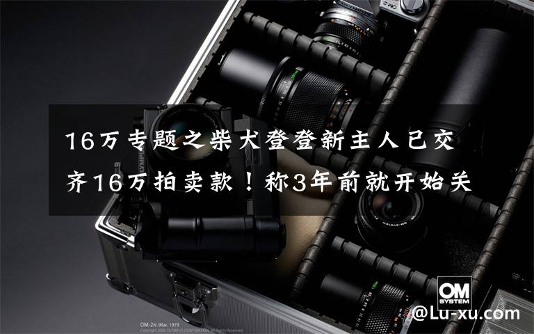 16万专题之柴犬登登新主人已交齐16万拍卖款!称3年前就开始关注它