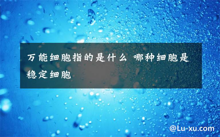 万能细胞指的是什么 哪种细胞是稳定细胞