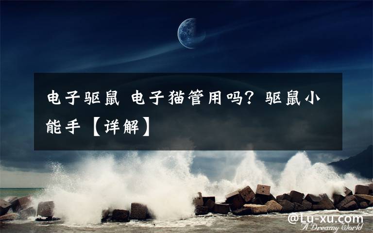 电子驱鼠 电子猫管用吗?驱鼠小能手【详解】