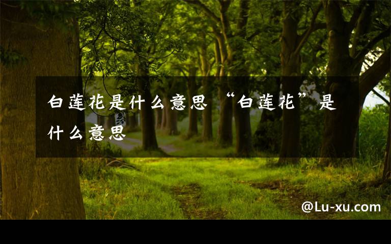 白莲花是什么意思 “白莲花”是什么意思