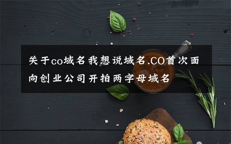 关于co域名我想说域名.CO首次面向创业公司开拍两字母域名