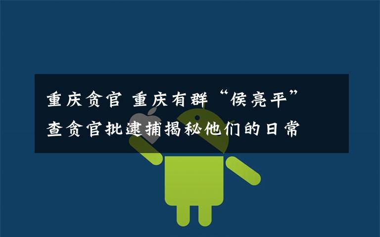 重庆贪官 重庆有群“侯亮平” 查贪官批逮捕揭秘他们的日常