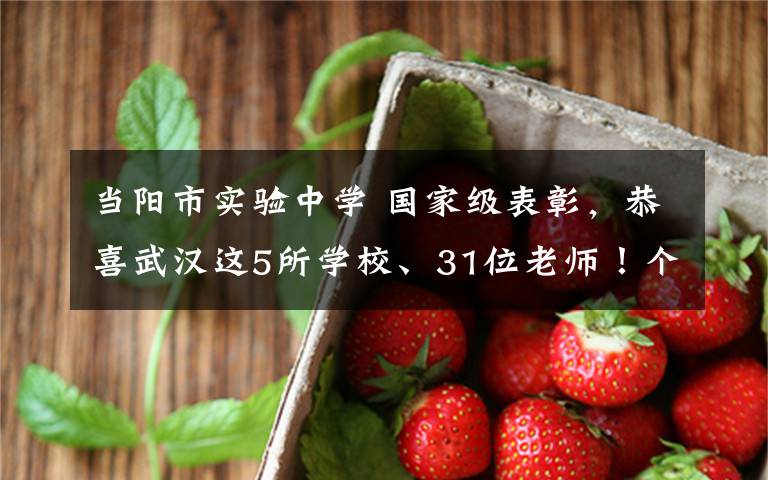 当阳市实验中学 国家级表彰，恭喜武汉这5所学校、31位老师！个个都不简单！