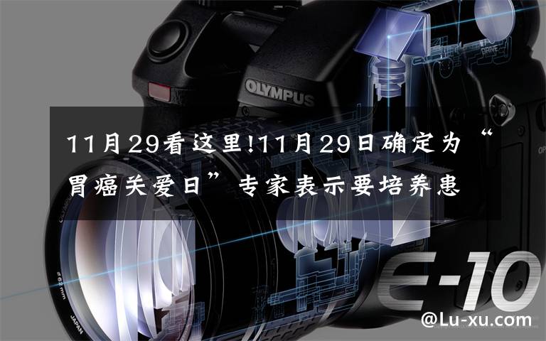 11月29看这里!11月29日确定为“胃癌关爱日”专家表示要培养患者正确的就医习惯