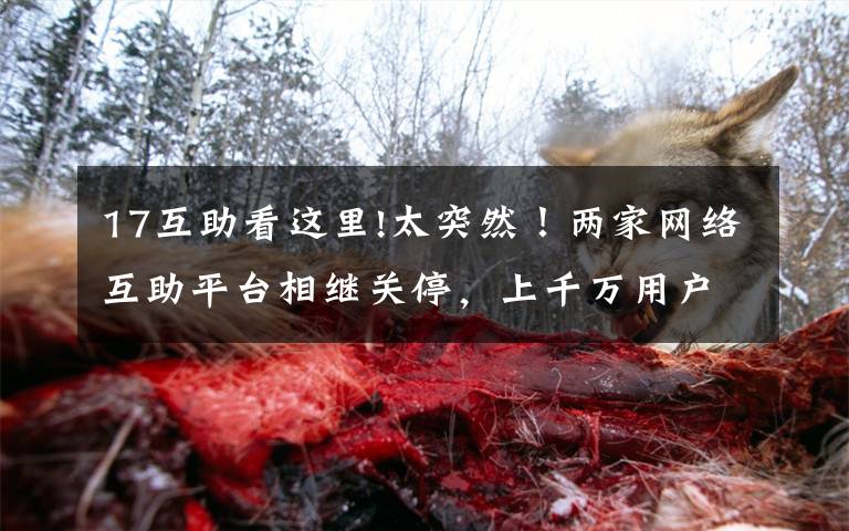 17互助看这里!太突然!两家网络互助平台相继关停,上千万用户傻眼:交钱好多年了