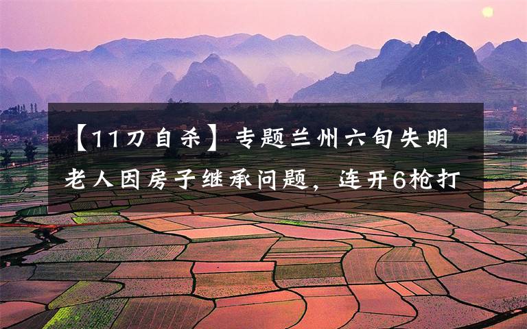 【11刀自杀】专题兰州六旬失明老人因房子继承问题,连开6枪打伤他人,获刑11年,作案工具被予以没收