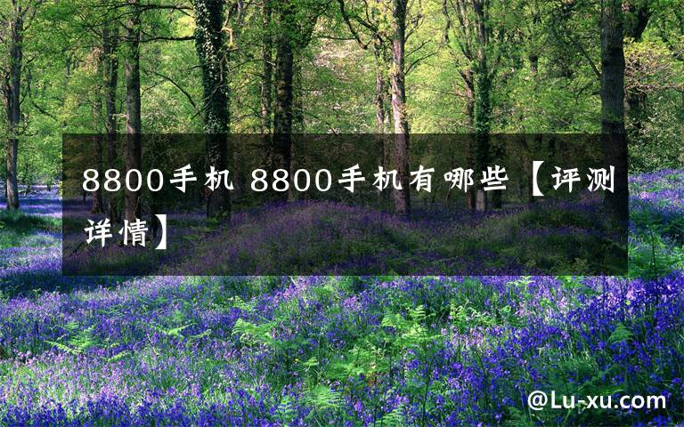 8800手机 8800手机有哪些【评测详情】