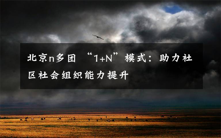 北京n多团 “1+N”模式:助力社区社会组织能力提升