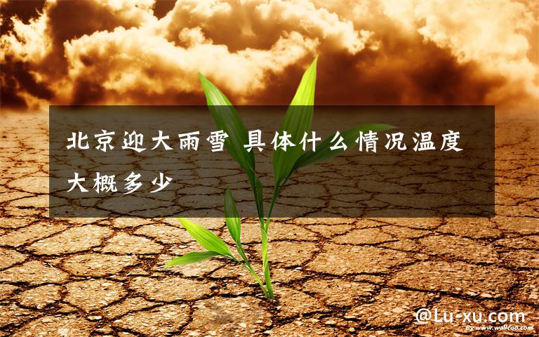 北京迎大雨雪 具体什么情况温度大概多少