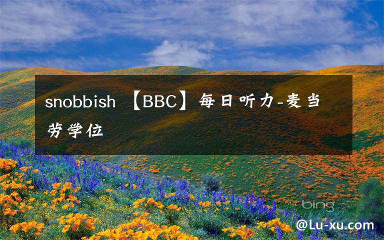 snobbish 【BBC】每日听力-麦当劳学位