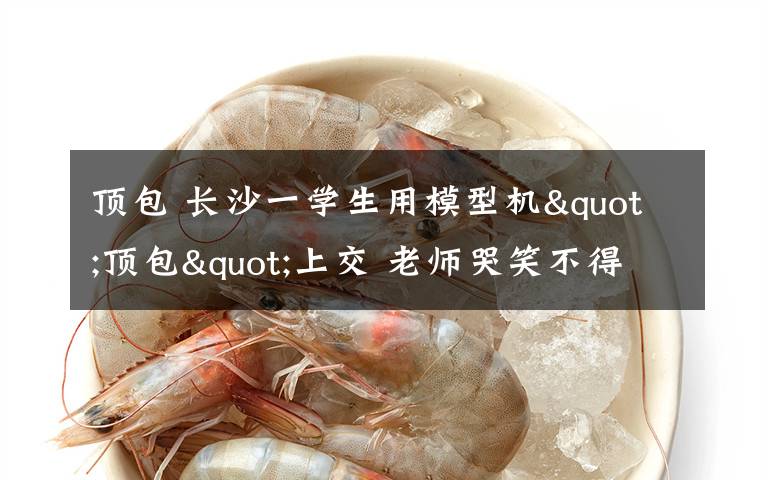 顶包 长沙一学生用模型机"顶包"上交 老师哭笑不得