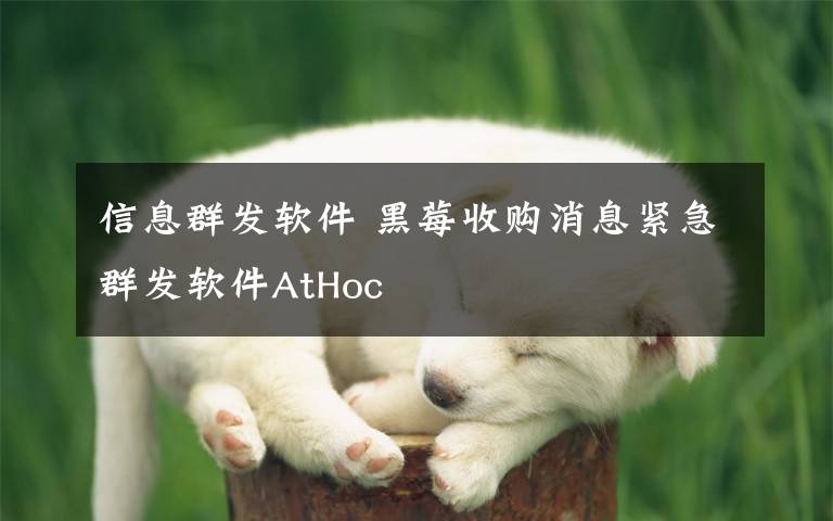 信息群发软件 黑莓收购消息紧急群发软件AtHoc