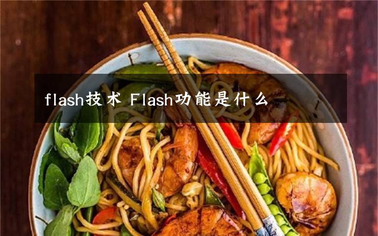 flash技术 Flash功能是什么