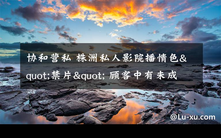 协和营私 株洲私人影院播情色"禁片" 顾客中有未成年人