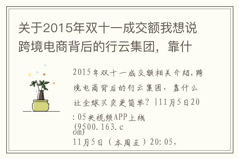 关于2015年双十一成交额我想说跨境电商背后的行云集团,靠什么让全球买卖更简单?|央视频上线
