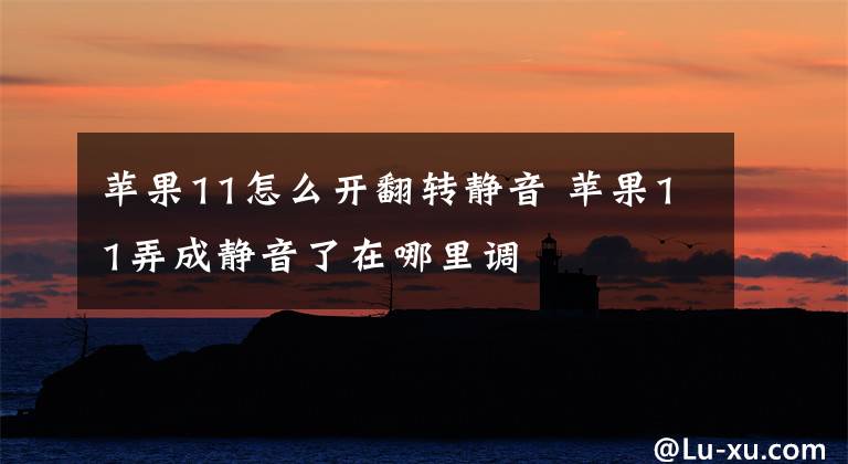 苹果11怎么开翻转静音 苹果11弄成静音了在哪里调