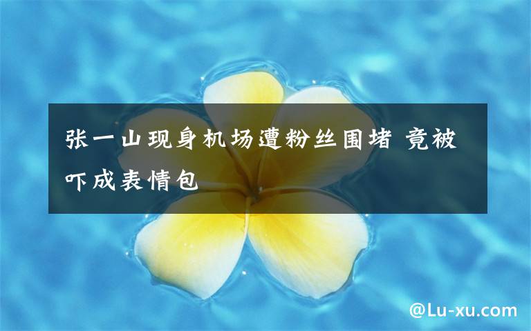 张一山现身机场遭粉丝围堵 竟被吓成表情包