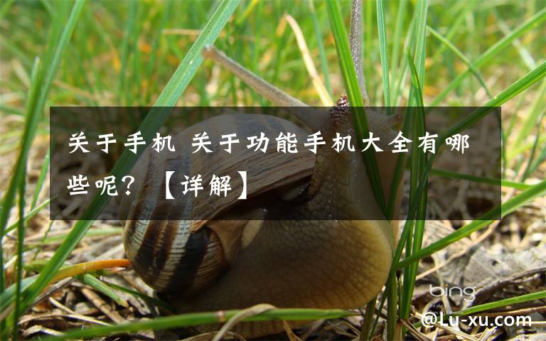 关于手机 关于功能手机大全有哪些呢?【详解】