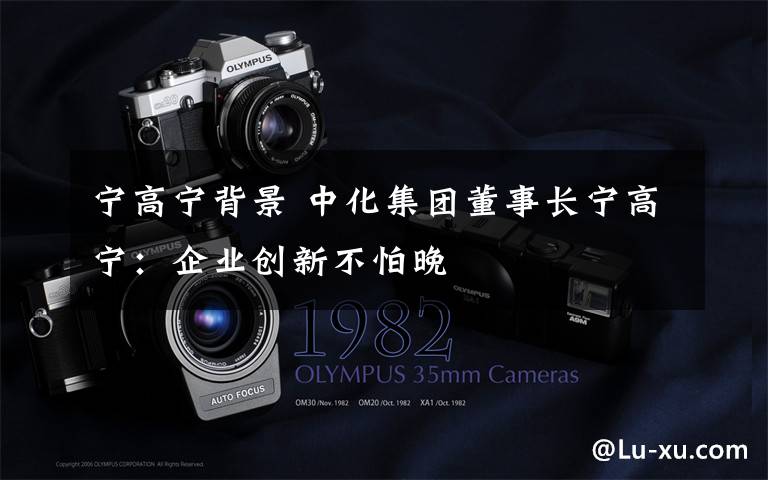 宁高宁背景 中化集团董事长宁高宁：企业创新不怕晚