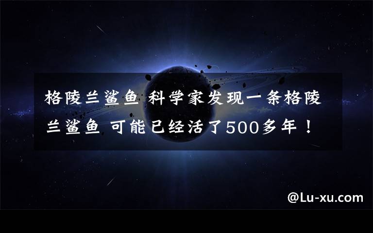 格陵兰鲨鱼 科学家发现一条格陵兰鲨鱼 可能已经活了500多年!