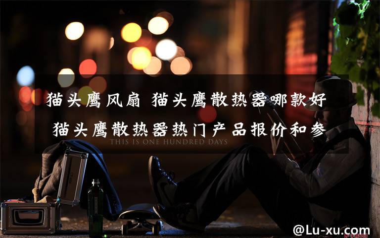猫头鹰风扇 猫头鹰散热器哪款好 猫头鹰散热器热门产品报价和参数