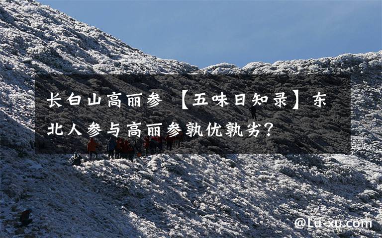 长白山高丽参 【五味日知录】东北人参与高丽参孰优孰劣?