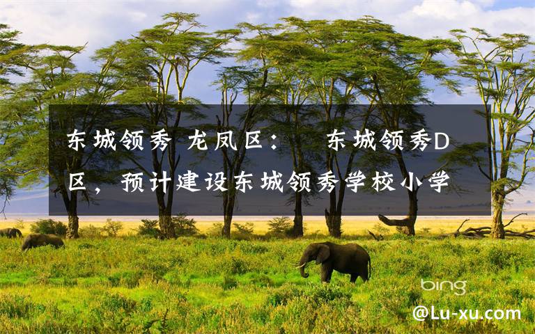 东城领秀 龙凤区:东城领秀D区,预计建设东城领秀学校小学部