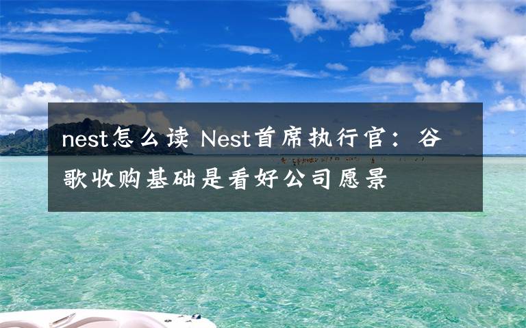 nest怎么读 Nest首席执行官:谷歌收购基础是看好公司愿景