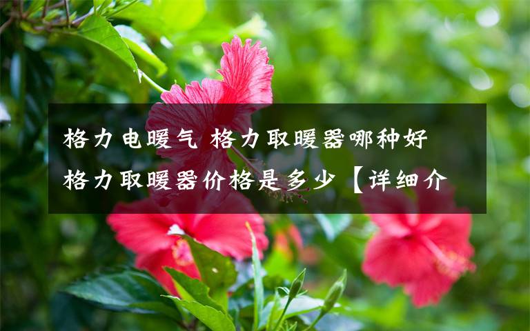 格力电暖气 格力取暖器哪种好 格力取暖器价格是多少【详细介绍】