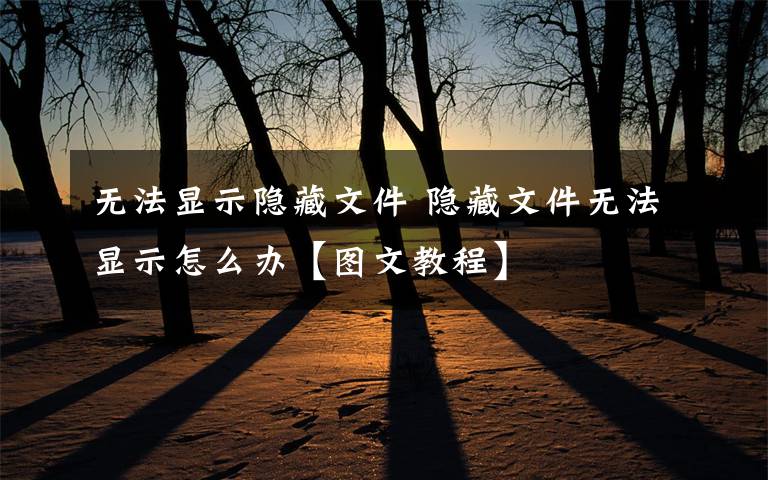 无法显示隐藏文件 隐藏文件无法显示怎么办【图文教程】