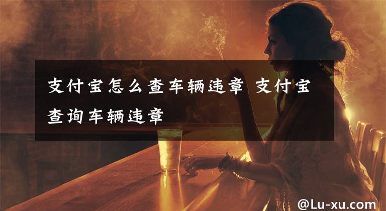 支付宝怎么查车辆违章 支付宝查询车辆违章