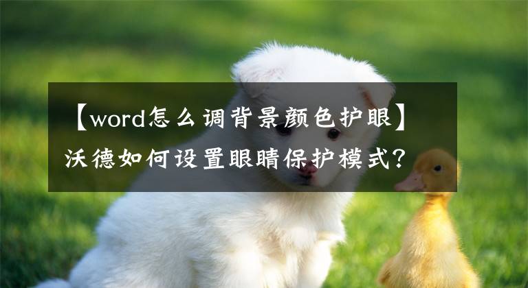 【word怎么调背景颜色护眼】沃德如何设置眼睛保护模式？