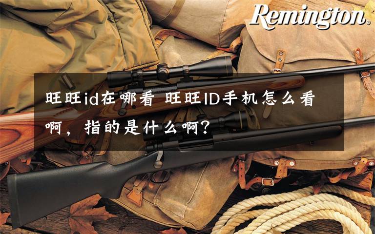 旺旺id在哪看 旺旺ID手机怎么看啊,指的是什么啊?