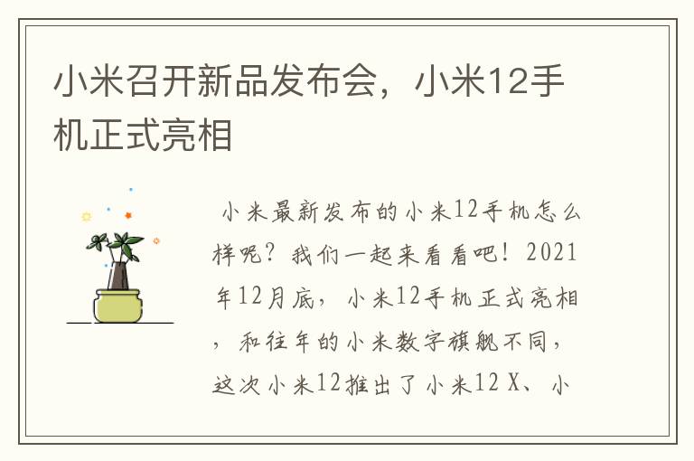小米召开新品发布会,小米12手机正式亮相