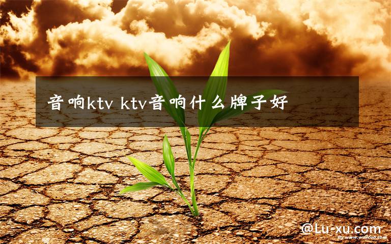 音响ktv ktv音响什么牌子好