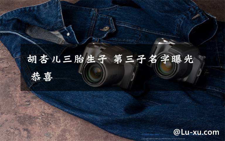 胡杏儿三胎生子 第三子名字曝光 恭喜