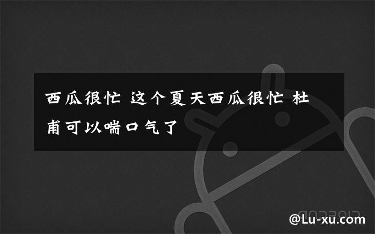 西瓜很忙 这个夏天西瓜很忙 杜甫可以喘口气了