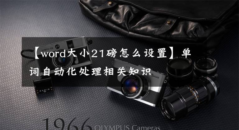 【word大小21磅怎么设置】单词自动化处理相关知识