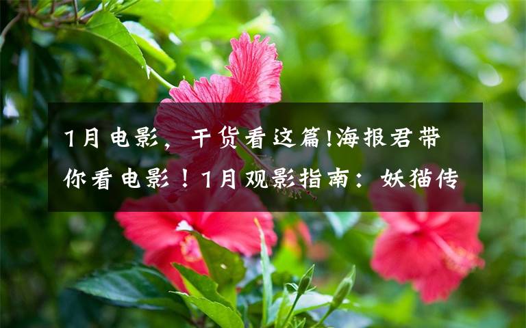 1月电影,干货看这篇!海报君带你看电影!1月观影指南:妖猫传美感爆表,阿米尔·汗新作来袭,娜塔莉·波特曼版"第一夫人"上线!