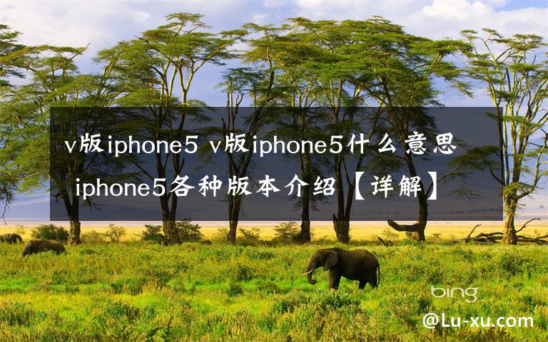 v版iphone5 v版iphone5什么意思 iphone5各种版本介绍【详解】