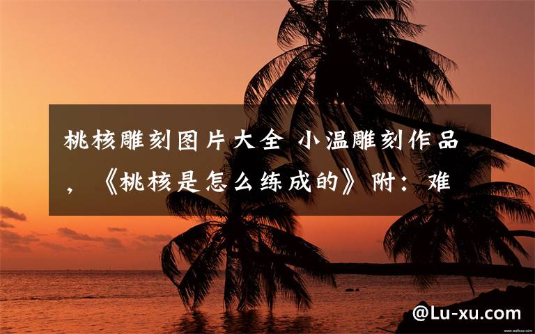 桃核雕刻图片大全 小温雕刻作品,《桃核是怎么练成的》附:难得一见的雕刻工程图,