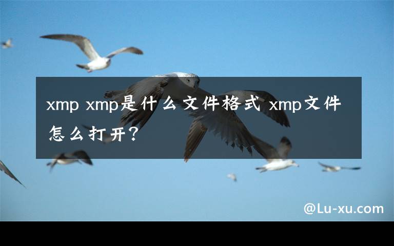 xmp xmp是什么文件格式 xmp文件怎么打开?