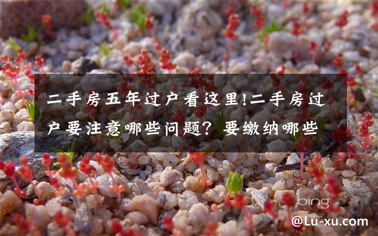 二手房五年过户看这里!二手房过户要注意哪些问题?要缴纳哪些费用