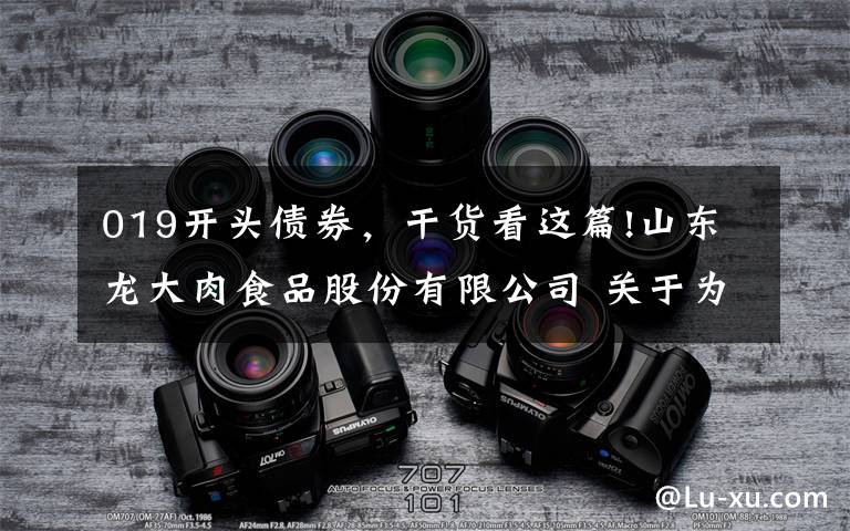 019开头债券，干货看这篇!山东龙大肉食品股份有限公司 关于为子公司提供担保的进展公告