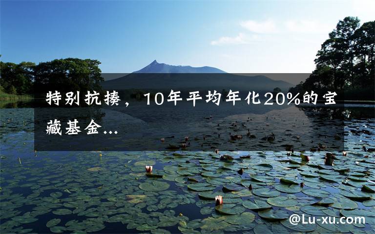 特别抗揍,10年平均年化20%的宝藏基金...